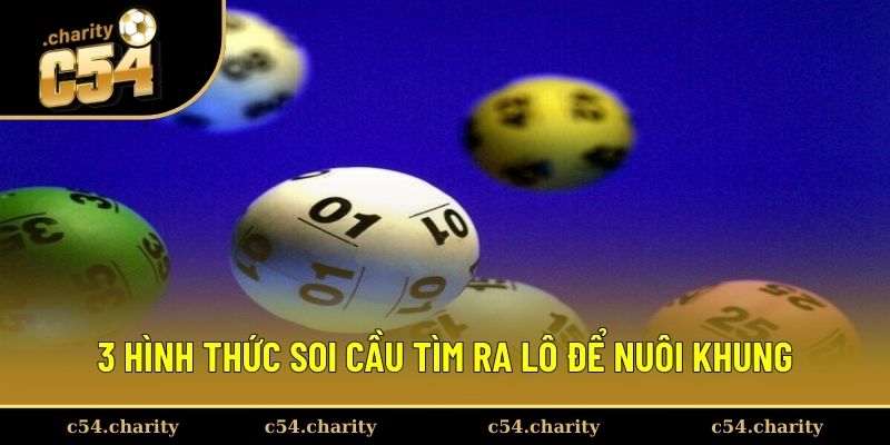 3 hình thức soi cầu tìm ra lô may mắn để nuôi khung