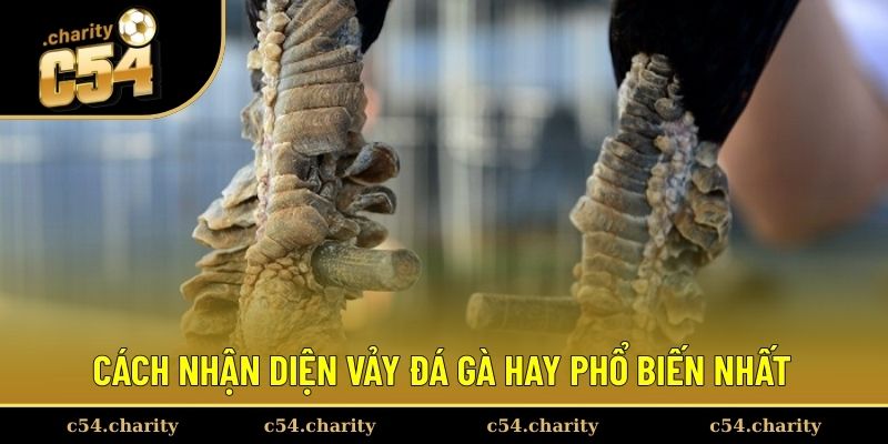Tìm hiểu một số cách nhận dạng chuẩn từ kê thủ