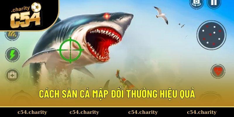 Cách săn cá mập đổi thưởng hiệu quả 