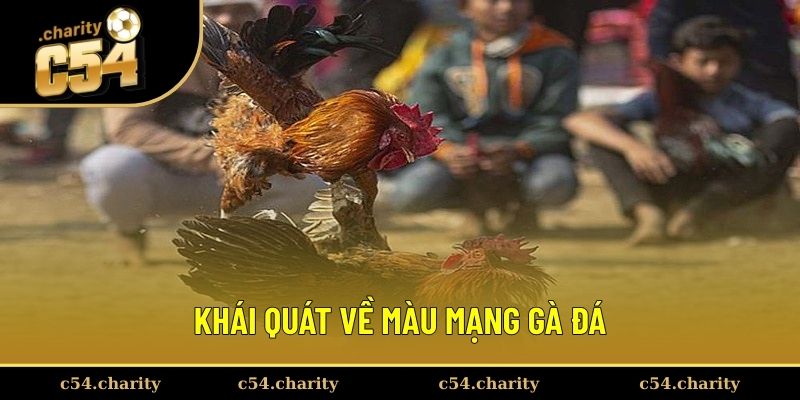 Khái quát về màu mạng gà đá