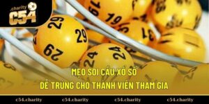 meo-soi-cau-xo-so-anh-dai-dien