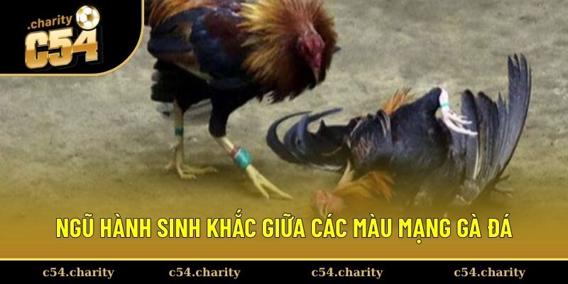 Ngũ hành sinh khắc giữa các màu mạng gà đá