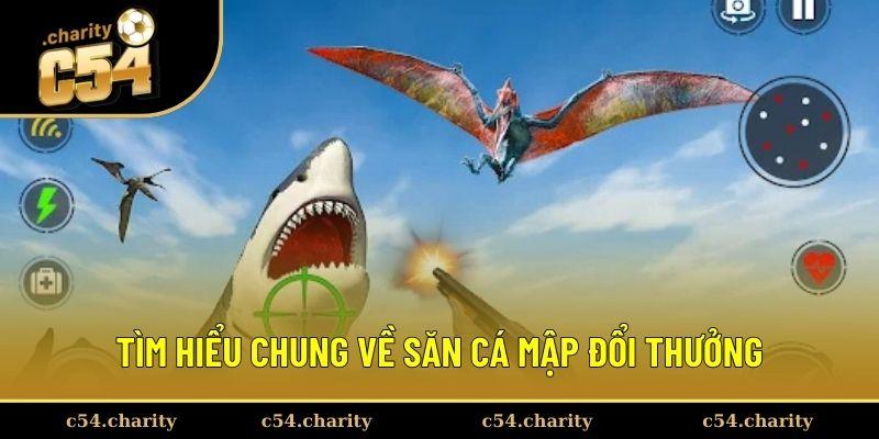 Tìm hiểu chung về săn cá mập đổi thưởng